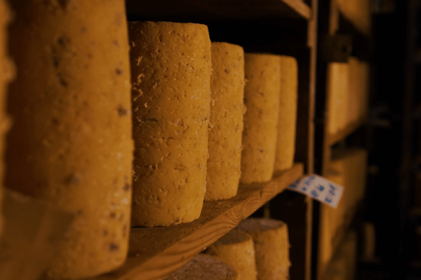 chemin de saint jacques de Cluny au Puy-en-Velay FOURME DE MONTBRISON ©Vincent Chambon et Syndicat de la Fourme de Montbrison (1)