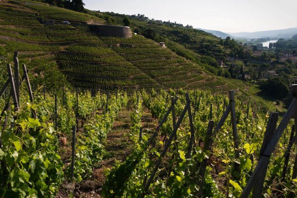 chemindesaintjacques.com Geneve Le Puy Vue avec fleuve 2 © X. Pages (2)