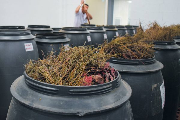 biofloral entreprise chemins de saint jacques de compostelle saint pierre eynac cluny lyon genève le puy en velay (9)