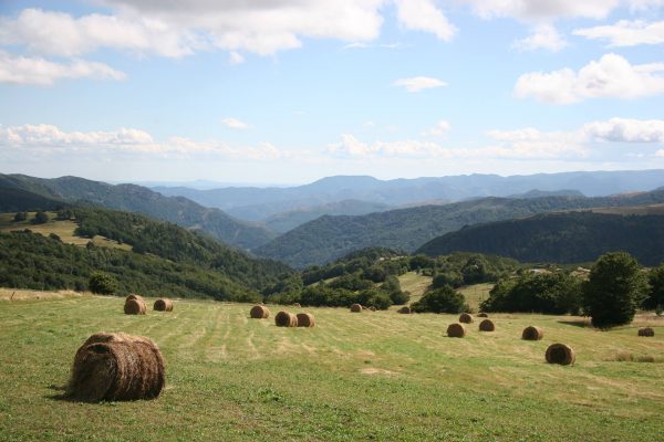 laiterie Gérentes Araules Genève Cluny Lyon Le puy en velay chemins de saint jacques de compostelle (15)