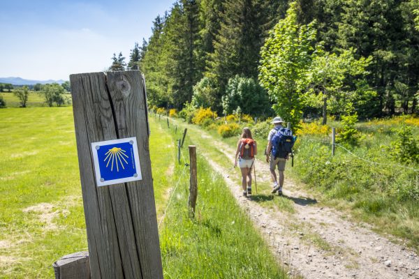 Auvergne Rhone Alpes - Haute-Loire - Randonnée sur le chemin de Compostelle de Genève au Puy-en-Velay, à l'approche de Montfaucon.