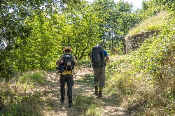 Auvergne-Rhône-Alpes - Le chemin de Compostelle de Genève au Puy-en-Velay - Sur le chemin de la chapelle du Calvaire (42)