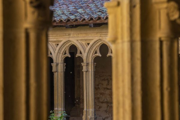 Auvergne-Rhône-Alpes - Loire - Le chemin de Compostelle de Cluny au Puy-en-Velay - Dans le Roannais, l'abbaye bénédictine de Charlieu-22