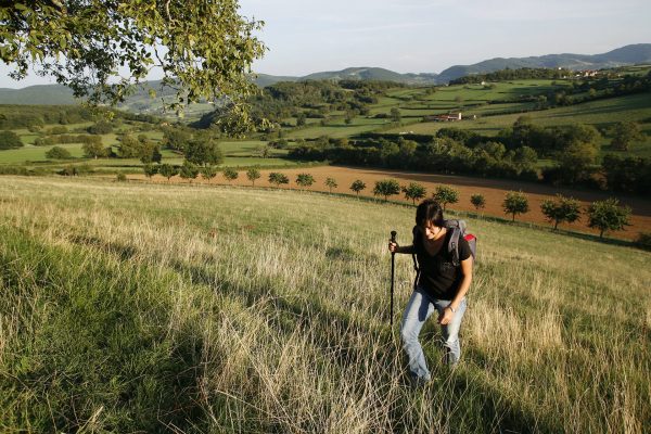 Paysage du Clunisois©DSL Lyonel Chocat chemins de saint Jacques de Cluny au Puy en Velay