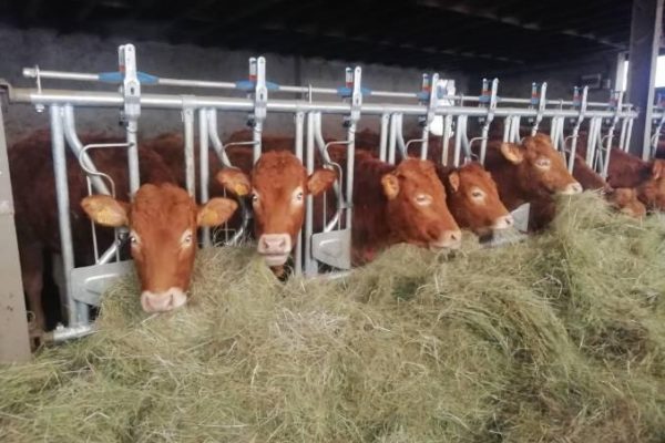 ferme du clapou viande bio saint germain laprade (18)