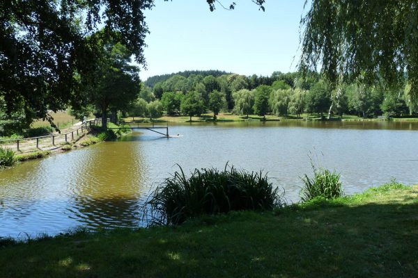 Plan d'eau de Poule les Echarmeaux_COR