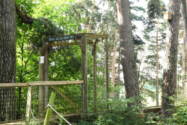 parc aventure haute loire canopy en foret saint paulien (13)-min