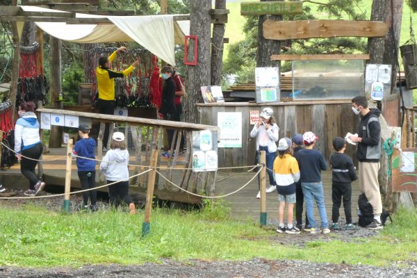 parc aventure haute loire canopy en foret saint paulien (2)-min