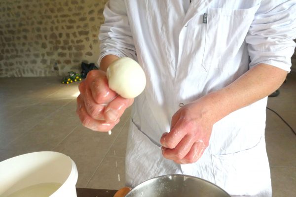 Ferme brin d'auvergne mozzarella bio Lapte 43 (11)-min