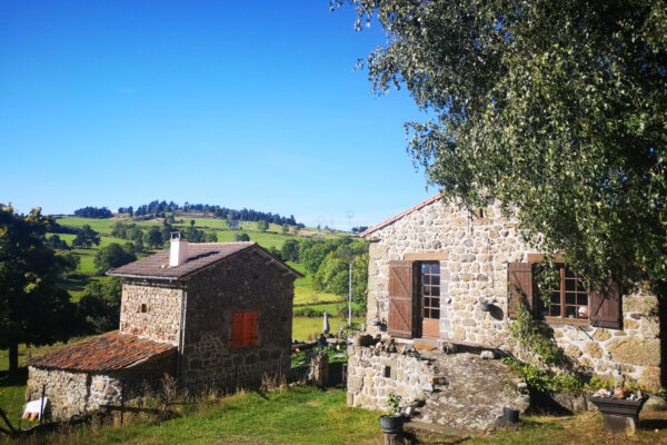 L'arche de Gabriel Saugues (10)